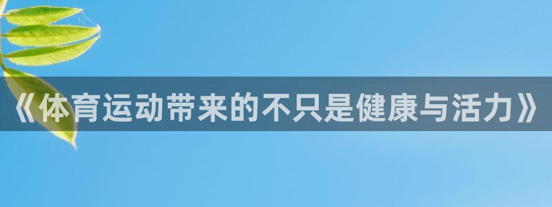 三亿体育网页版