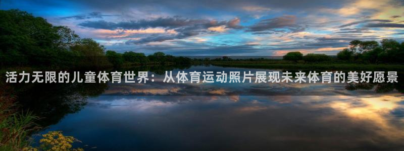 三亿体育网页版
