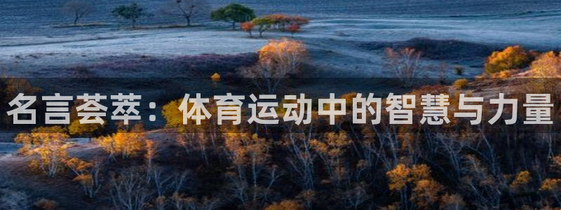 三亿体育网页版
