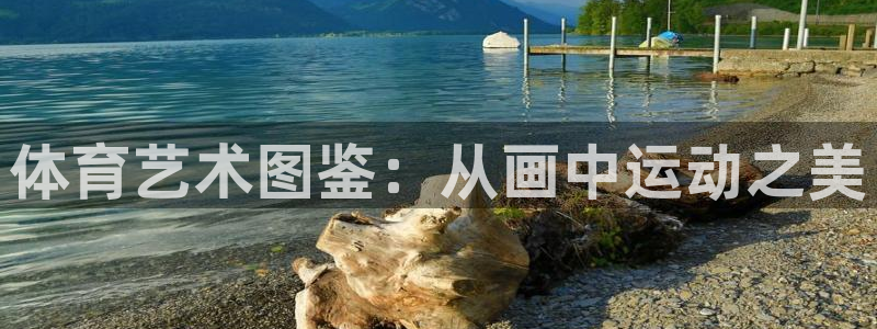 三亿体育网
